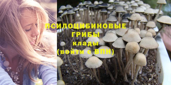 гашик Мегион