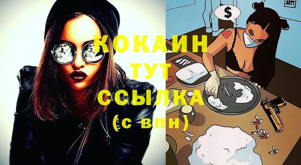 гашик Мегион