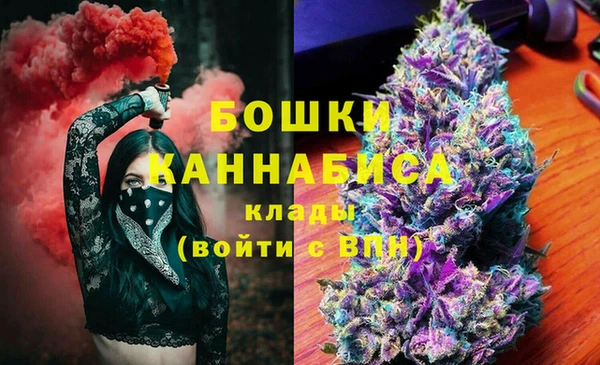 гашик Мегион