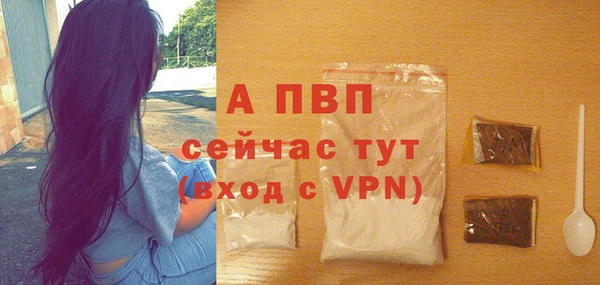 спиды Верея