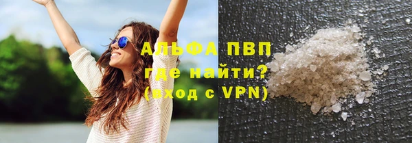 гашик Мегион