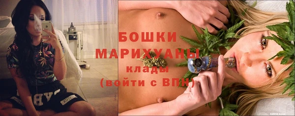 молекула духа Пересвет