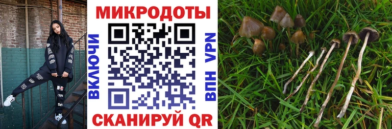 Псилоцибиновые грибы GOLDEN TEACHER  купить наркотики сайты  Харабали 